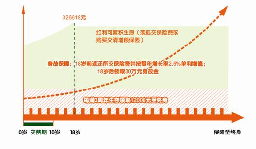 平安世纪天使少儿两全保险（分红型）投保示例