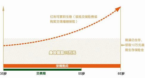 平安鑫祥两全保险(分红型)投保示例