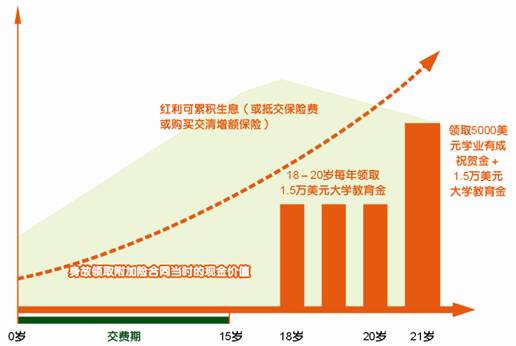 平安附加少儿大学教育年金保险（分红型，外币版）投保示例